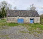 Gort sheep farmer's building repair provides roosting area for bats