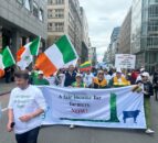 Irish dairy farmers take part in Brussels protest