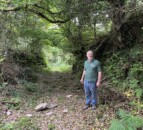 Watch: Agroforestry showcased on Kerry farm walk