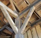 Study to examine potential of mass engineered timber in building