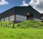 A grant-spec sheep shed for a 300-ewe flock in Co. Cavan