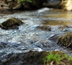 Tirlán to host farm walk in Wicklow with focus on water quality