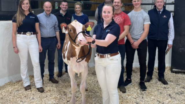 8600gns achieved at the Promise of Protein Sale