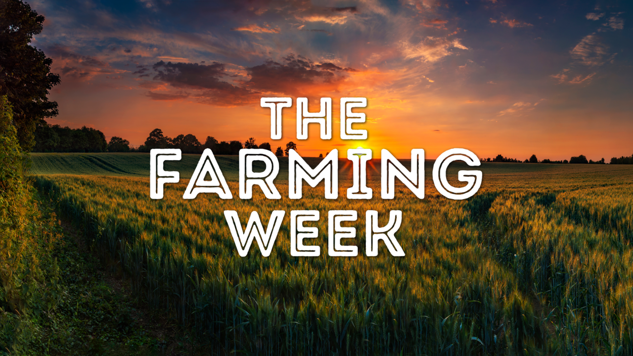 The Farming Week: Fodder Shortage Concerns, Silage costing €50/bale, BEEF2024 Open Day