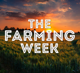 The Farming Week: Fodder Shortage Concerns, Silage costing €50/bale, BEEF2024 Open Day