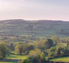 Farmland biodiversity festival to focus on native hedgerows