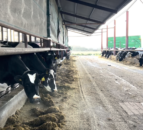 Dairy Focus: Operating a housed system in Offaly