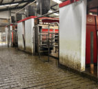 Dairy Throwback: Labour issues lead brothers to switch to Lely robots