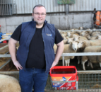 Co. Mayo Lleyn breeder sees 204% scanning figure