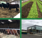 Beef Focus: West of Ireland organic farm-to-fork business