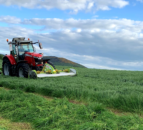 Silage season underway - but what about quality?