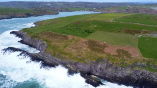 West Cork calf to beef farm focusing on high CBV | Commercial Beef Value Series