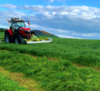 Weather window for silage-cutting expected this week