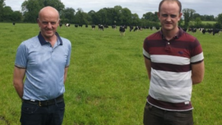 Dairy Beef Index Series: Longford father and son prioritise genetic potential