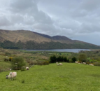 ICM Lamb Sustainability Trial update from Kerry farms